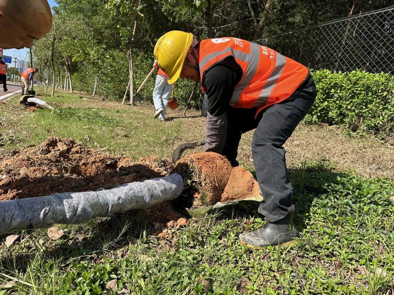 1727594104717253.jpg adf7d523c9afbfa4a8041f562962420b.jpg