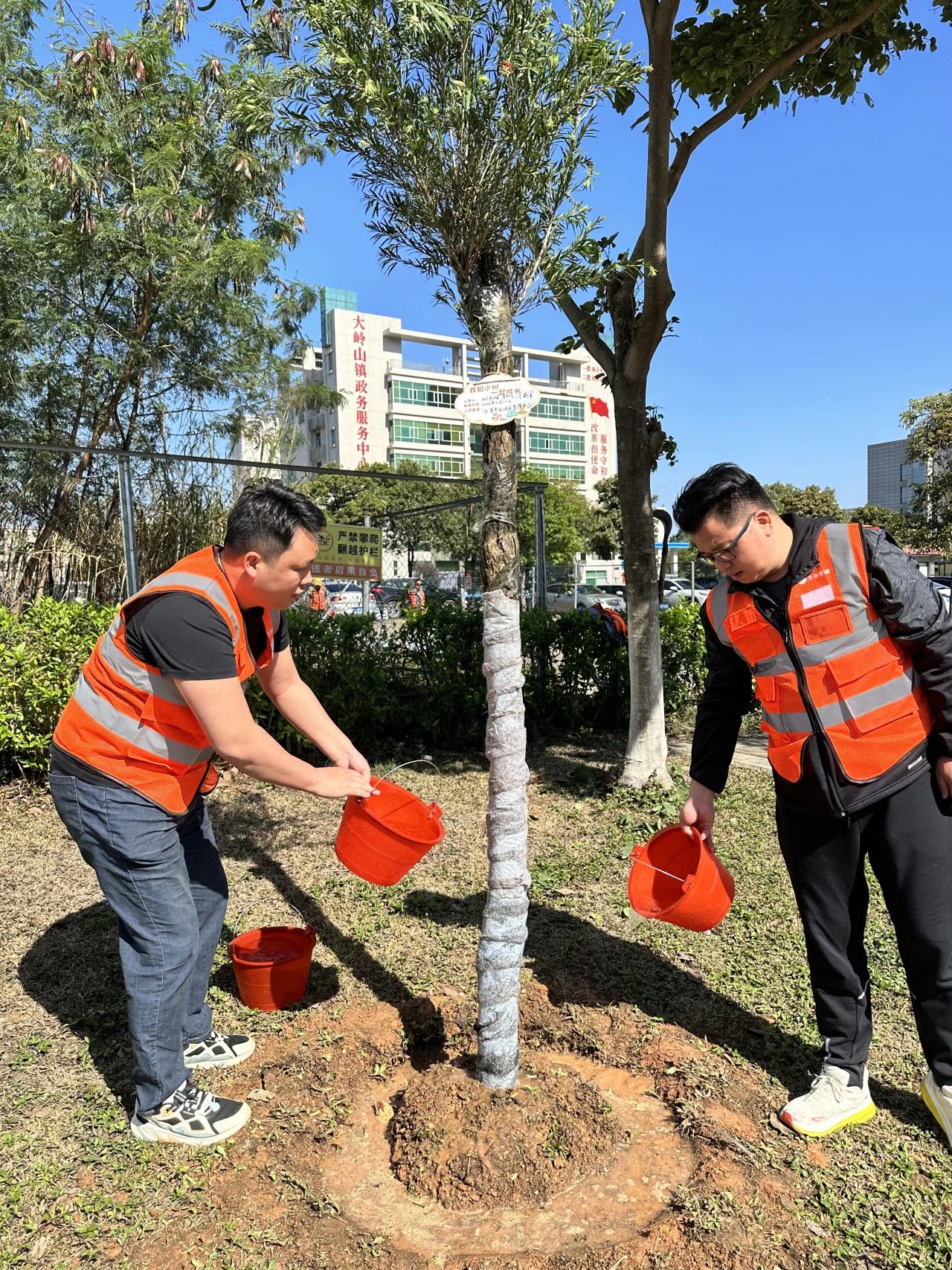 1727594172669531.jpg 73ff3280a857666ecd69e0394dec47a5.jpg