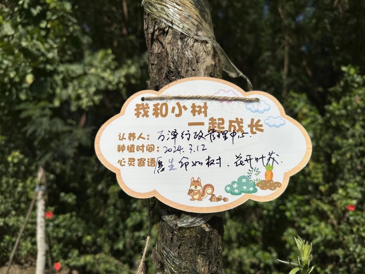 1727594222261116.jpg 971f3f3721583e1f6a3c0361bb738cc2.jpg